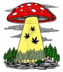 Abduction Magic Mushrooms