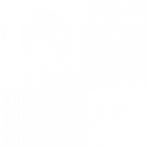 Pug life