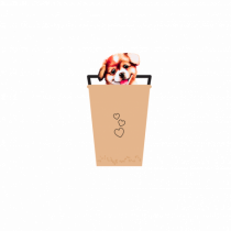 Puppy in a cup, not a pupcup