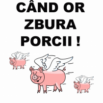 CAND OR ZBURA PORCII