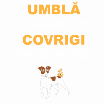 UMBLA CAINII CU COVRIGI IN COADA