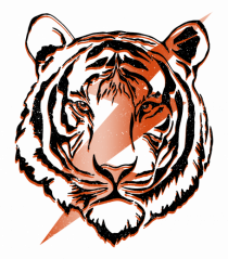 Retro Tiger