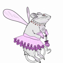 Fairy Tooth Rat