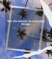 See the beauty in everyday things