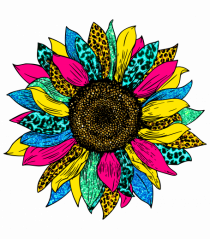 Sunflower summer colors