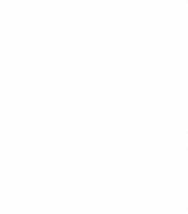 Real Cars