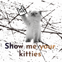 Show me your kitties