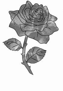 Trandafir monocrom