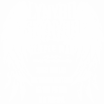 All you need is your soul - Lynyrd Skynyrd 2