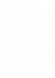 Skateboard Rebellion White