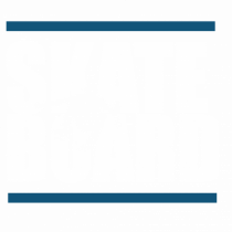 SKATE BOARD