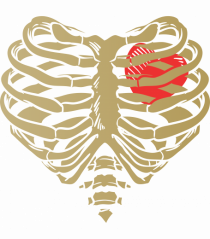 Skeleton Red Heart Golden Ribs