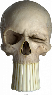 Craniu punisher skullwink