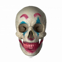 craniu skulljoker 01