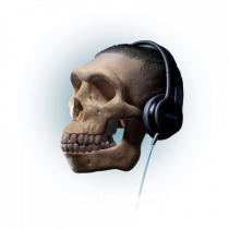 Craniu cu casti - skullphones 16