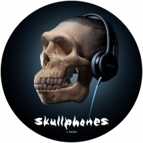 Craniu cu casti - skullphones 17