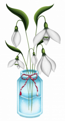 Snowdrops