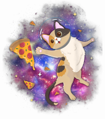 Space Cat Kitten Astronaut Funny Pizza
