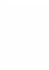 Speed Racer New York White
