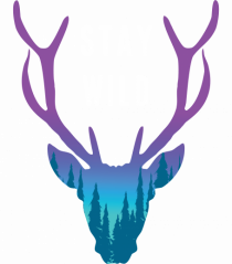 Stay Wild