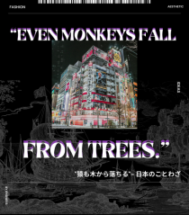 Even Monkeys Fall From Trees