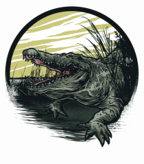 Swamp Alligator