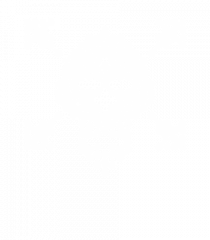 Techno Skull