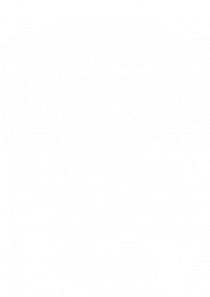 The Black Crows Skull White