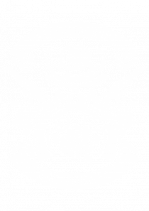 Guns and Glory Skull White