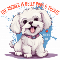 THE ANSWER IS BELLY RUBS & TREATS - Bichon