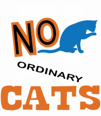 There Are No Ordinary Cats