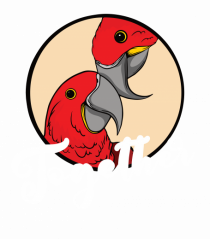 Pentru cupluri - Together - TogetherForever1