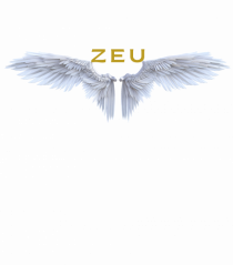 ZEU