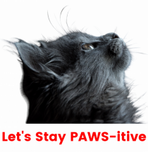 Let's Stay PAWS-itive