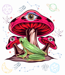  Frog Mushroom Galaxy Psychedelic