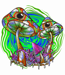 Trippy Psychedelic Mushroom Eyes