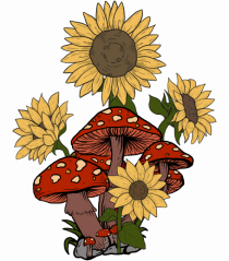 Sunflower Mushroom Psychedelic