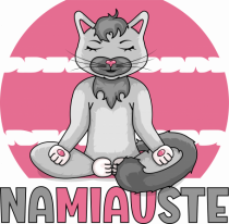 NaMIAUste