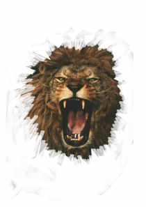 Furious lion