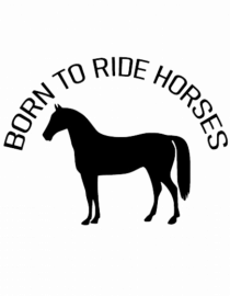 Born to Ride Design