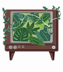Vintage TV Nature