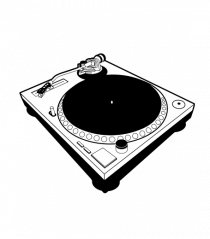 Vinyl Junkie