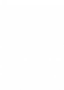 Volei Champion White