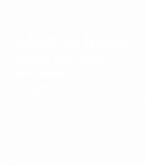 What is love? (alb)