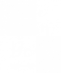 Wife Boss