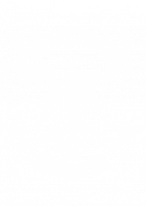 Wild and Free Skull White