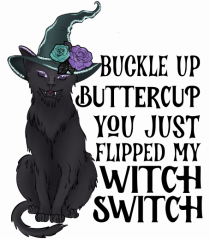 Witch Switch Cat