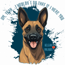 YEAH, I WOULDN`T  DO THAT - Malinois Belgian