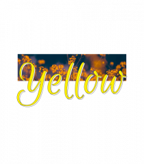 Yellow!