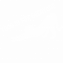 YOGA CAT